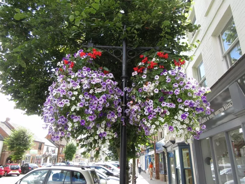 Summer floral display in the High Street